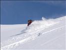 Powder Courmayeur, Italy